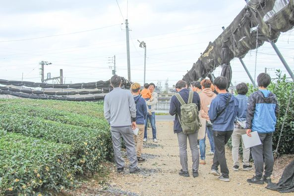 静岡県青年農業士会中遠支部さんの視察：いしかわ製茶の茶畑