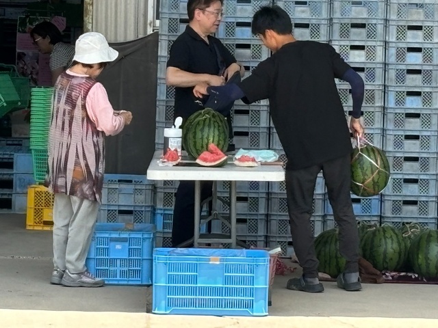 はっぴー農産の特売日に参加。西瓜屋の「しゃり丸」大好評